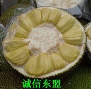  新鲜水果 新鲜菠萝蜜 马来西亚菠萝蜜