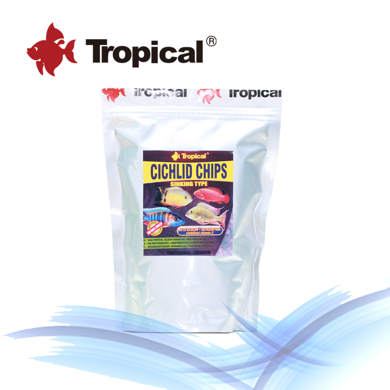 大型热带鱼观赏鱼排行榜大型热带鱼观赏鱼价格