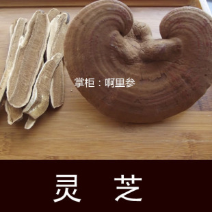  灵芝 片 中草药 长白山特产 东北 可切片