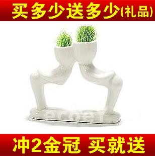 diy迷你盆栽植物种植 植物盆栽 草头娃娃 青草种植 X恋人亲亲款