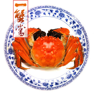  满10送1 正宗 阳澄湖大闸蟹 直销团购 公螃蟹3.1-3.2两 8只起拍