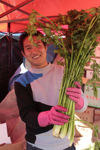  山东特产章丘鲍芹芯一级芹菜2斤装！CCTV专访绿色无公害新鲜蔬菜