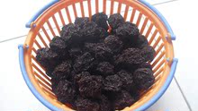 永泰正宗李干三包包邮 酸甜可口孕妇最爱 原味李干250g 农家自制