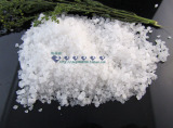 taobao english 15913872510
