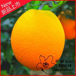  花城uu攀枝花特产 新鲜有机水果 纽荷尔脐橙 18斤净重装 川渝包邮