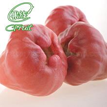 Cfruit水果 鲜嫩甜脆 台湾进口正宗黑珍珠莲雾 甜美多汁4斤