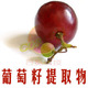 生产-葡萄籽提取物  原花青素大于百分之98 -30克-养颜美容美白抗衰老