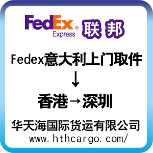 日本转运中国 Fedex 意大利到香港 快递 海淘 转