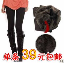 2012韩版抗起球新款女装显瘦 加厚卡拉绒竹炭保暖秋冬打底裤 女