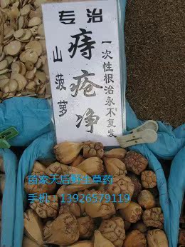 山菠萝:贵州苗家正品天然野生草药中草药中药