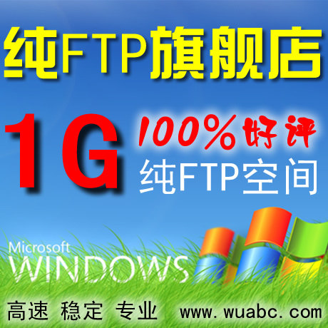 1G 专业FTP空间/网络硬盘/FTP上传下载/网通电信接入/网盘