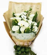 马蹄莲上海鲜花速递静安长宁崇明青浦闵行杨浦普陀浦东区花店送花