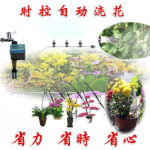自动浇花器 定时浇水器 时控自动浇水设备 家庭园艺智能浇灌设备