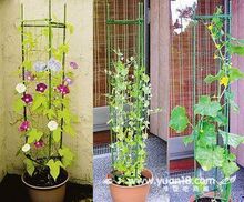 爬藤植物用,花支架 (带网) 高1.5/1.8米 单独发货 0.45/0.6kg