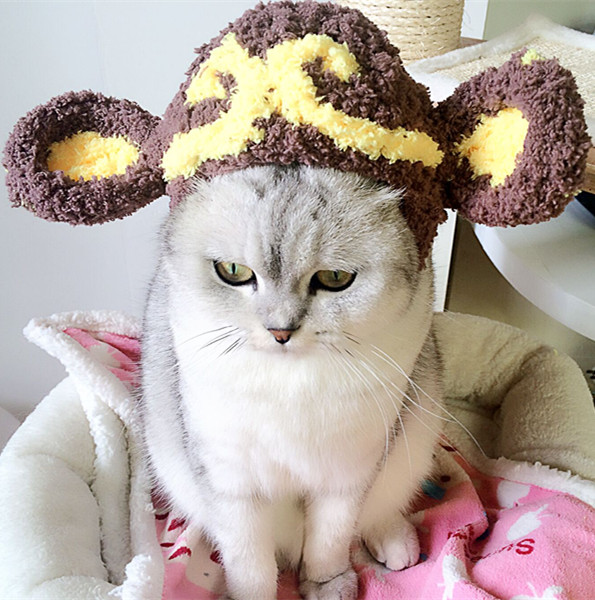 manual Pets Monkey modelling Wool Kitty Hat Teddy Accessories Transfiguration equipment Funny Headdressin the Pet/Pet food and supplies , Pet apparel and accessories , Hat category - from Buy2taobao.com to provide professional Taobao agent buy service