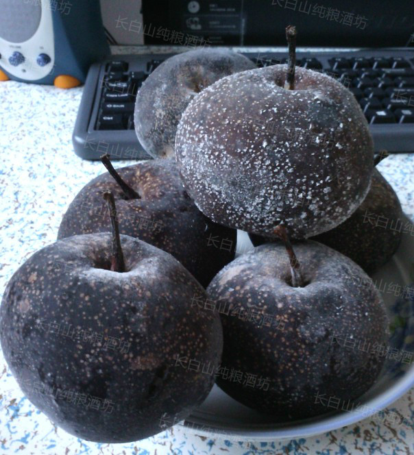 东北冻梨 苹果梨 花盖梨 冻秋梨 大黑梨 5斤一箱包邮优惠价39.00元,东北冻梨精心为您挑选-麦尔网购导航-网购宝