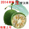 上下架计划:新鲜生罗汉果 特级罗汉果生果 广西桂林永福罗汉果茶 生果3斤包邮