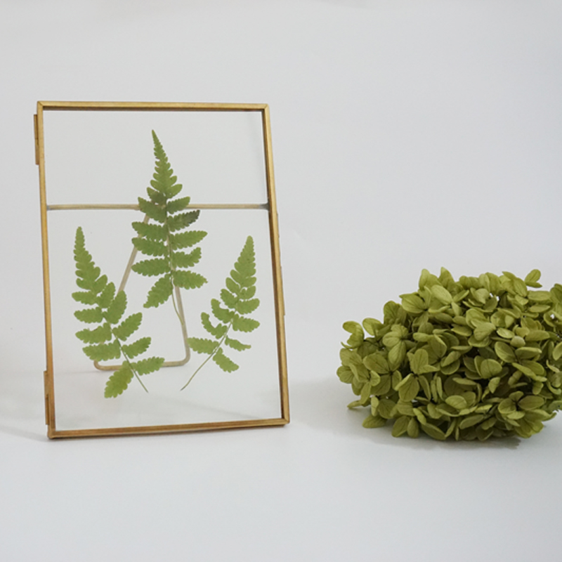 海外创意 复古做旧黑 玻璃相框相架 植物标本羽毛照片展示艺术品在类目 家居饰品, 相框/画框中 - 来自Buy2taobao.com提供专业的淘宝代购服务