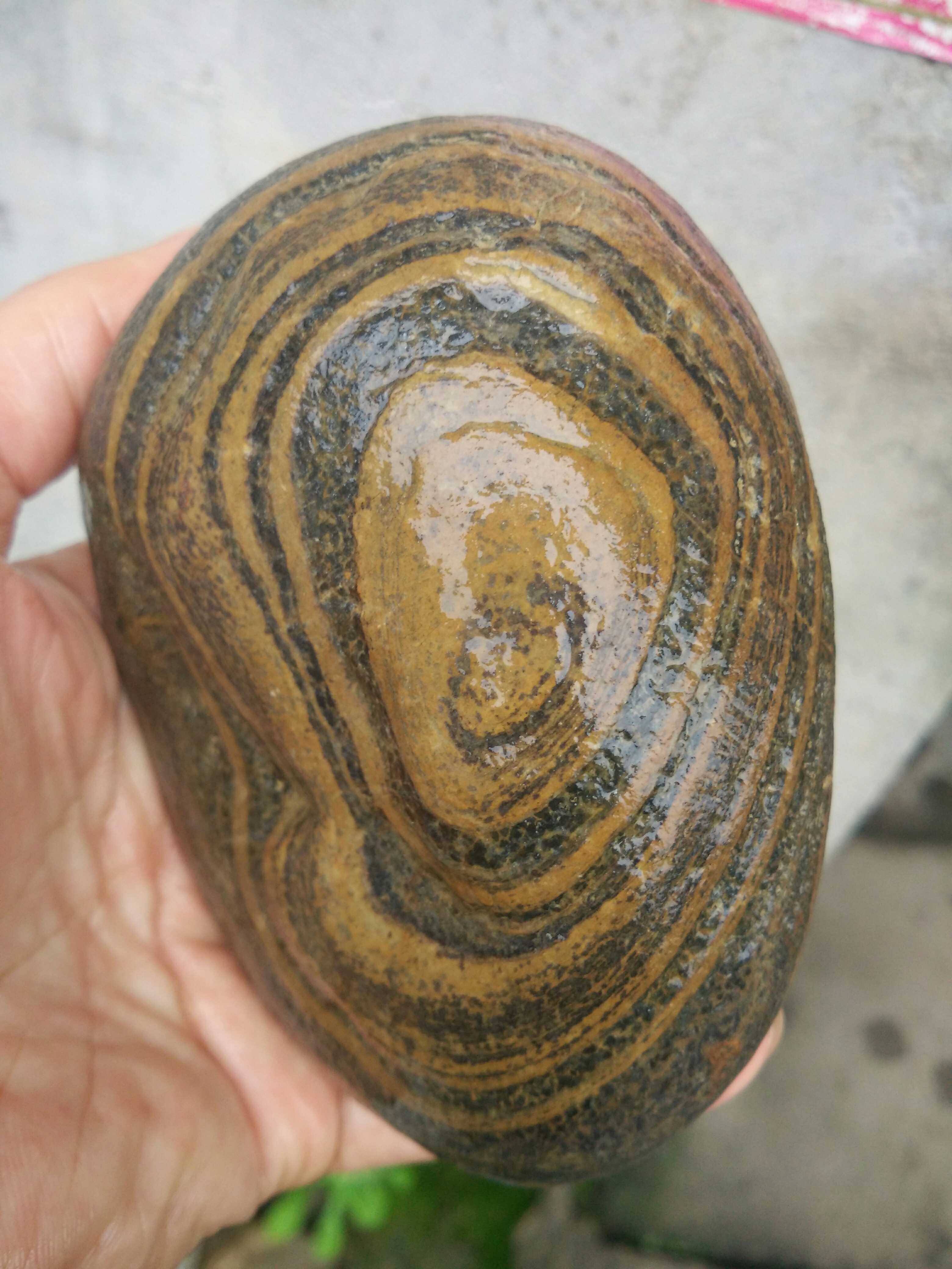 天然奇石长江石金纹石文字石图案画面造型石黄蜡石水冲赣江信江石在类目 饰品/流行首饰/时尚饰品新, 摆件中 - 来自Buy2taobao.com提供专业的淘宝代购服务