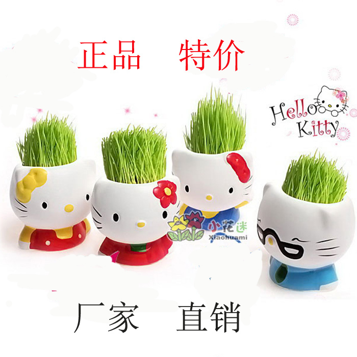 办公室植物防辐射迷你绿植盆栽草头娃娃儿童diy玩具创意礼品特价|msdalam kategori penghantaran bunga/bunga simulasi/tumbuhan berkebun, Plants Mini kreatif - dari Buy2taobao.com untuk memberikan perkhidmatan ejen Taobao profesional membeli