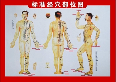 彩色人体经络穴位图挂图艾条艾灸艾灸穴位使用图标准经穴部位图|ruв категории личный уход/Здравоохранение/массажное оборудование, различные аксессуары, меридиан медицинского оборудования, аксессуары, прижигание, оборудование - от Buy2taobao.com для оказания профессиональной услуги покупки агента Taobao