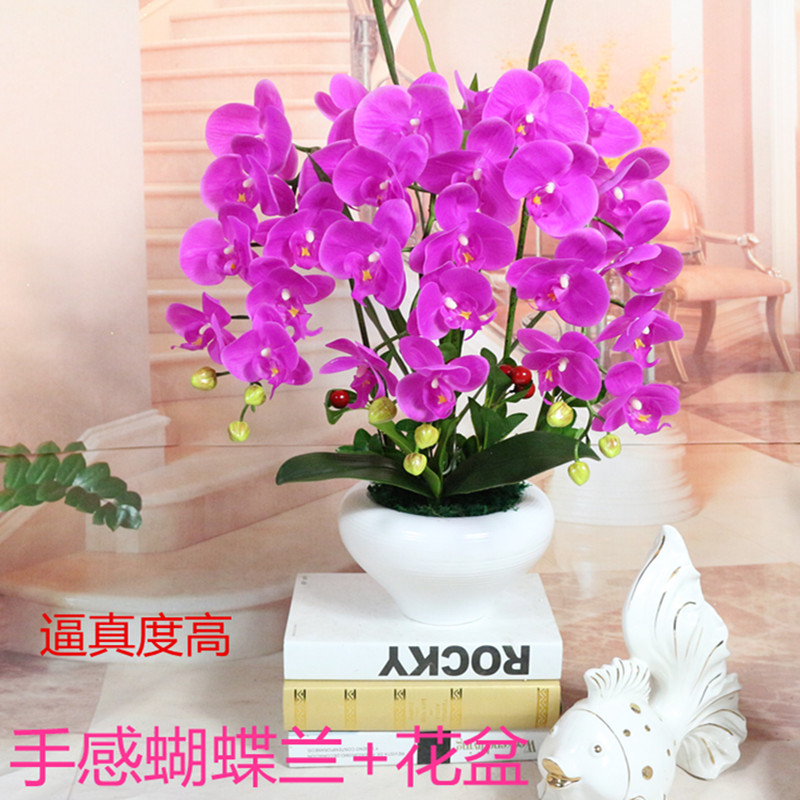 包邮仿客厅新房摆件植物假花仿真蝴蝶兰套装盆景装饰品花餐桌摆件在类目 鲜花速递/花卉仿真/绿植园艺, 仿真花/绿植/蔬果成品(新), 仿真花中 - 来自Buy2taobao.com提供专业的淘宝代购服务