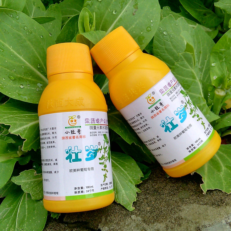 巨峰夏黑藤稔葡萄专用拉穗剂膨大剂 拉花剂 拉长花序果穗|msdalam kategori penghantaran bunga/bunga simulasi/tumbuhan berkebun, Gardening Supplies, baja rumah berkebun/tanah pemakanan/penyelesaian nutrien - dari Buy2taobao.com untuk memberikan perkhidmatan ejen Taobao profesional membeli