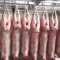 上下架计划:宁夏羊肉新鲜羊肉生羊肉盐池滩羊清真羊肉整全羊30斤顺丰空运包邮