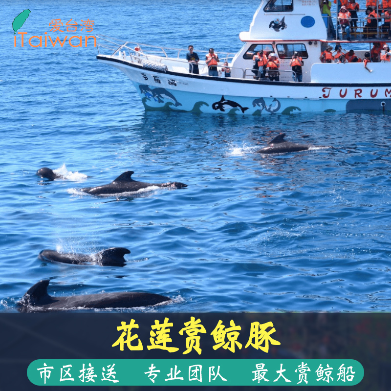 台湾花莲赏鲸/赏海豚 市区内民宿免费接送 景点预约iTaiwan在类目 度假线路/签证送关/旅游服务, 目的地玩乐, 境外玩乐套餐中 - 来自Buy2taobao.com提供专业的淘宝代购服务