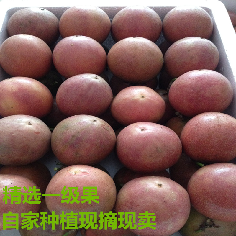 送一斤 广西百香果农家特产新鲜水果西番莲鸡蛋果10斤中果包邮在类目 水产肉类/新鲜蔬果/熟食, 新鲜水果, 百香果中 - 来自Buy2taobao.com提供专业的淘宝代购服务