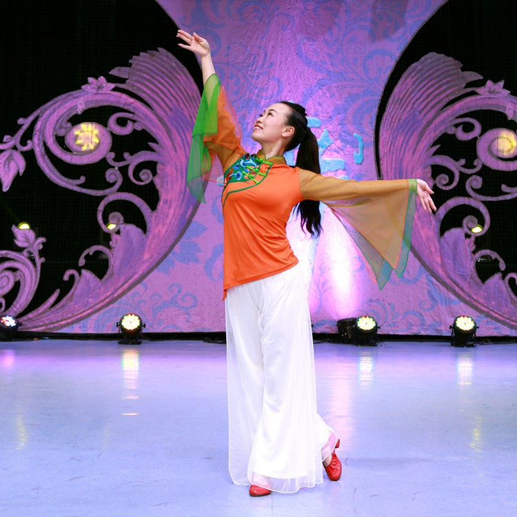 new pattern classic square dance clothing suit summer classical Chinese style Embroidery Jacobs trousers costumein the Sports/Yoga/Fitness/Fans supplies , Dance/Aerobics/Gymnastics , Square Dance , Square Dance Set category - from Buy2taobao.com to provide professional Taobao agent buy service