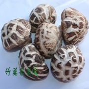 四川青川椴木花菇，天然野生菌干货自然晾晒新货厚菇干香菇250g