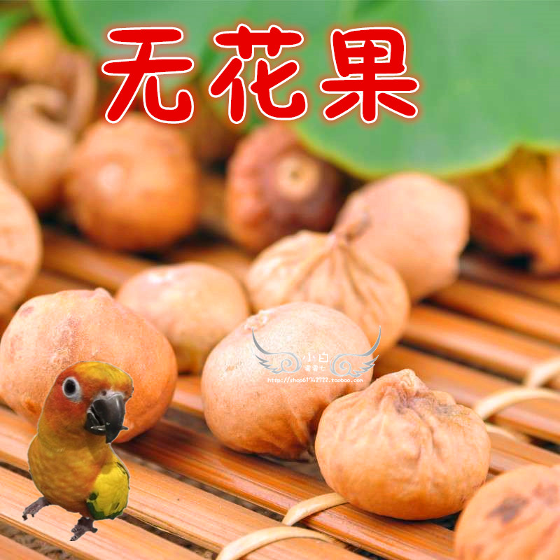 无花果大中型鹦鹉和尚金刚亚马逊灰鹦鹉粮鸟饲料营养品水果干零食|ruв категории животное/Животное питание и принадлежностей, птиц и принадлежностей, птица приборов (новая), другие - от Buy2taobao.com для оказания профессиональной услуги покупки агента Taobao
