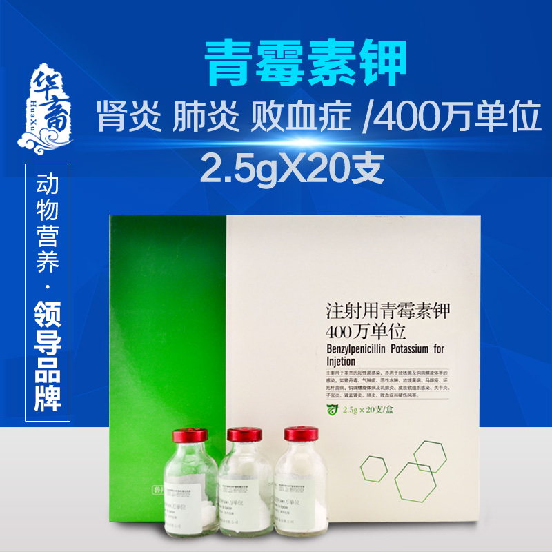 华畜兽药兽用阿莫西林 可溶性粉预混剂猪药 鸡