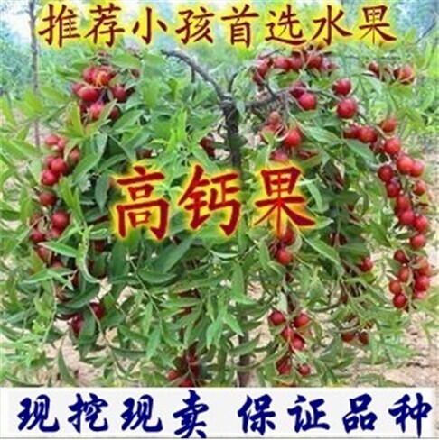 舞墨堂 企业简介PPT模板企业宣传幻灯片模板