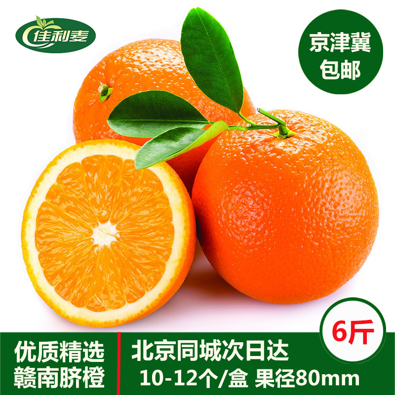 赣南脐橙苗 明年结果 可参观果园 赣州发货橙子