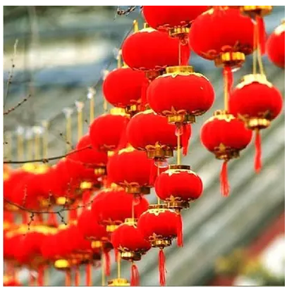 new year bonsai dance Flocking Lantern string Lantern Spring Festival lantern Pendants Indoor and outdoor decorate lanternin the Festive supplies/Gift , Lantern category - from Buy2taobao.com to provide professional Taobao agent buy service