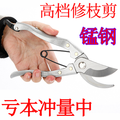 进口花剪修枝剪树枝剪刀园艺整枝粗枝剪园林剪摘果树剪五金工具