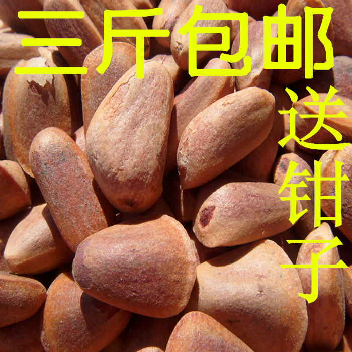 今年新货 生松子 红松种子 东北野生 未加工 不开口 500g 松鼠在类目 零食/坚果/特产, 山核桃/坚果/炒货, 松子中 - 来自Buy2taobao.com提供专业的淘宝代购服务