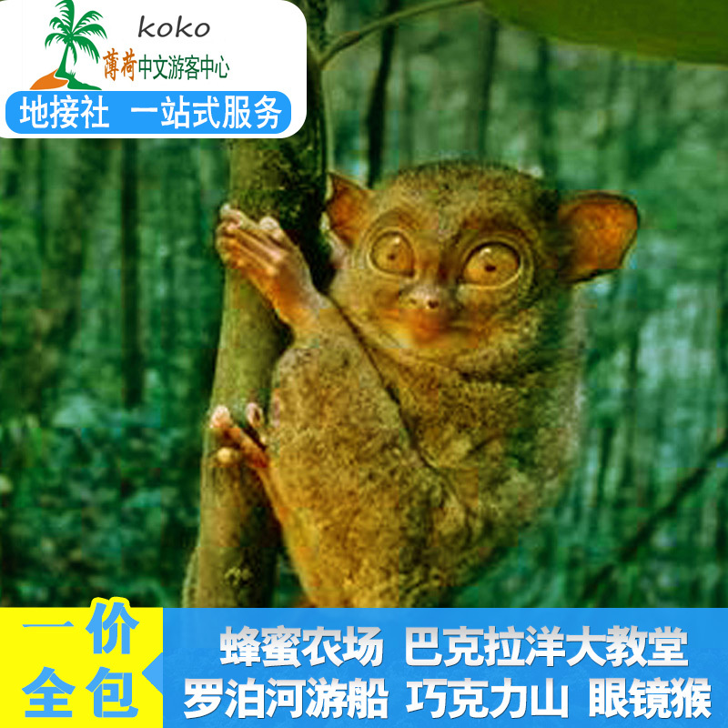 菲律賓薄荷島巧克力山眼鏡猴宿務巴卡容教堂羅泊河自助餐~陸地遊在類目 度假線路/簽證送關/旅遊服務, 租車自駕/包車/接送/租自行車中 - 來自Buy2taobao.com提供專業的淘寶代購服務