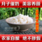 上下架计划:四川王醪糟 农家自酿原浆糯米酒甜酒酿纯手工现做现卖月子必备1斤