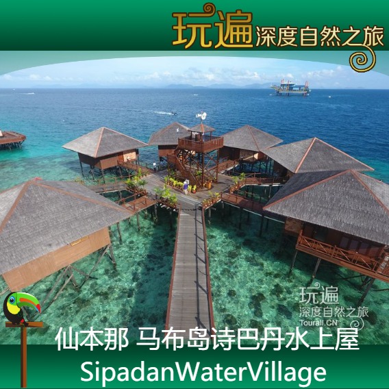 马来西亚沙巴仙本那SWV Sipadan Water Village马布诗巴丹水上屋在类目 特价酒店/特色客栈/公寓旅馆, 酒店客栈套餐, 海外套餐中 - 来自Buy2taobao.com提供专业的淘宝代购服务