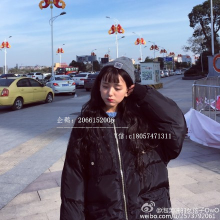 炫迈妹晶哥瑜妹妹雪狗王逗逗的微博