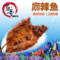 上下架计划:青岛鱼哥 鱼嫂私房菜麻辣鱼 烧烤必备满包邮
