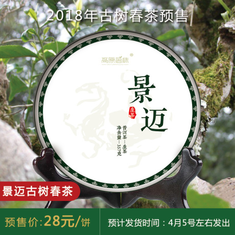 景迈古树生茶