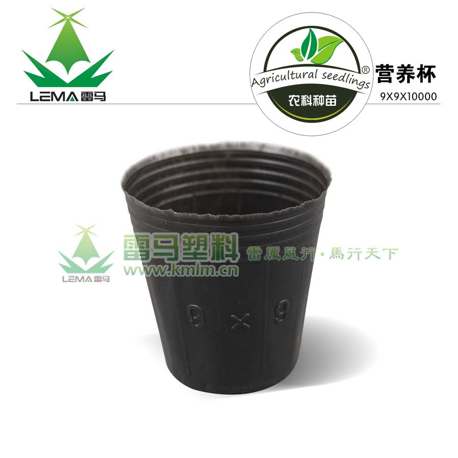 营养杯9x9x10000 育苗杯 蔬菜秧苗 种子 农具在类目 鲜花速递/花卉仿真/绿植园艺, 园艺用品, 育苗盘/营养钵中 - 来自Buy2taobao.com提供专业的淘宝代购服务