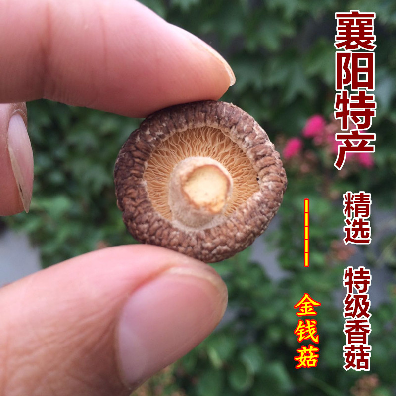 干香菇500g特级小香茹湖北农家干货珍珠菇散装蘑菇家用肉厚小冬菇|msdalam kategori beras/Utara-Selatan barangan kering/perasa, Utara-Selatan barangan kering/daging Kering, kering/Native, kelas cendawan - dari Buy2taobao.com untuk memberikan perkhidmatan ejen Taobao profesional membeli