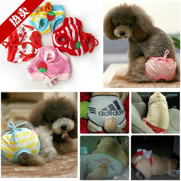 Pets Dogs Physiological pants strawberry lovely Sweet Princess wind Pug France bucket Pekingese The fat Menstrual trousersin the Pet/Pet food and supplies , Pet apparel and accessories , Physiological pants category - from Buy2taobao.com to provide professional Taobao agent buy service