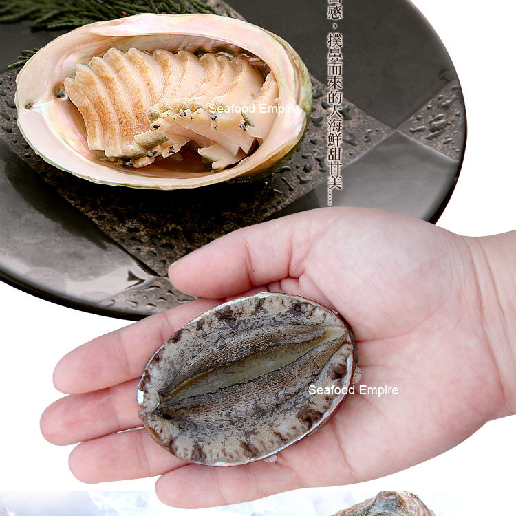 活冻大连鲍野生肉肥新鲜鲍鱼干 元宝鲍 比活的更新鲜一盒10头|ruв категории водной мясо/свежие фрукты и овощи/еда, морепродукты/водные продукты/изделия, моллюски, абалон - от Buy2taobao.com для оказания профессиональной услуги покупки агента Taobao