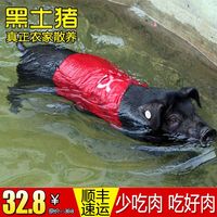 黑猪肉-天-自养不喂一口饲料黑猪肉原生态农家